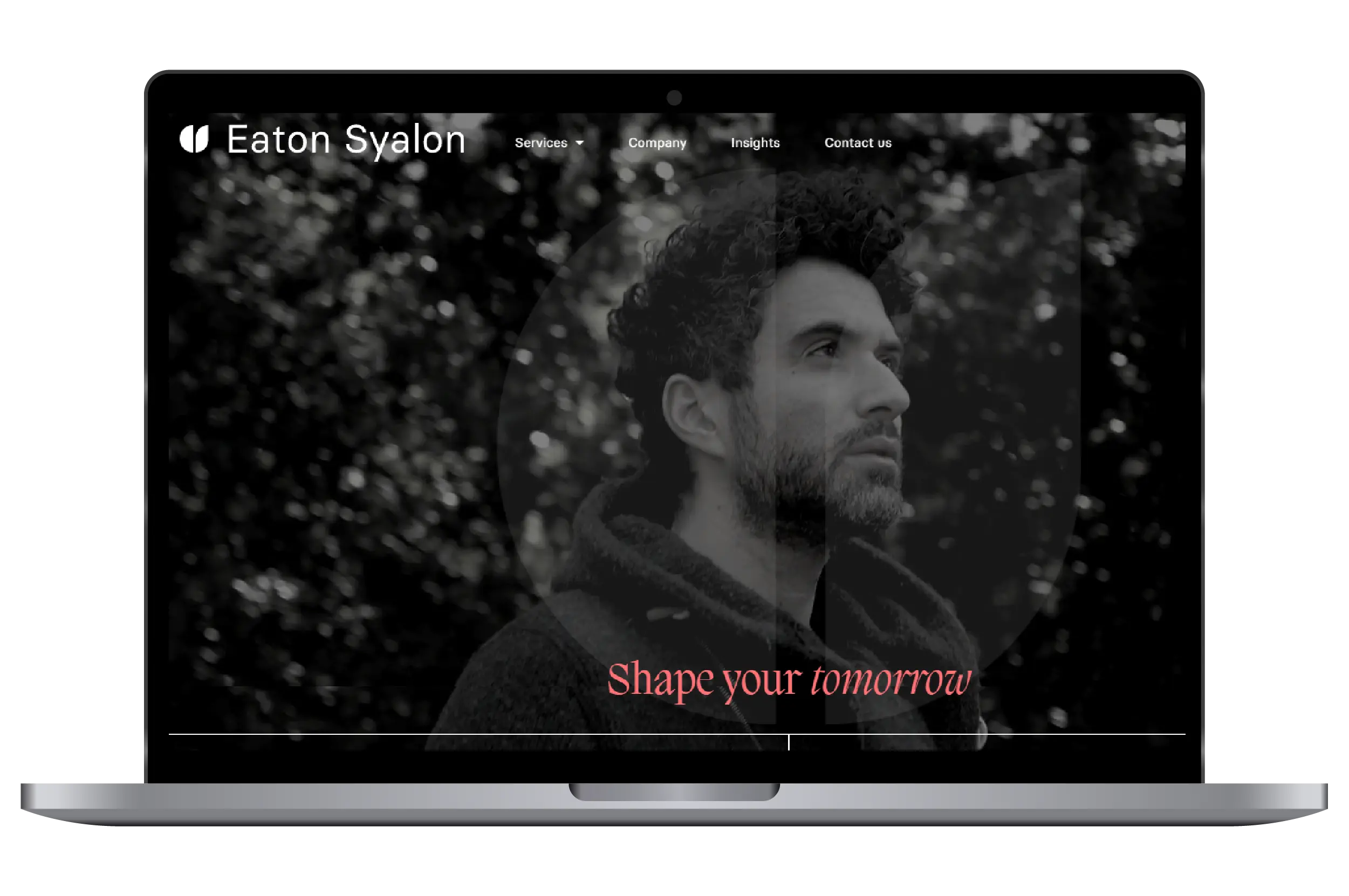 Eaton Syalon WordPress development project